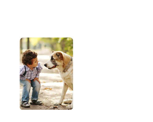 Rectangle Engraved Epoxy Kid & Dog Photography Necklace